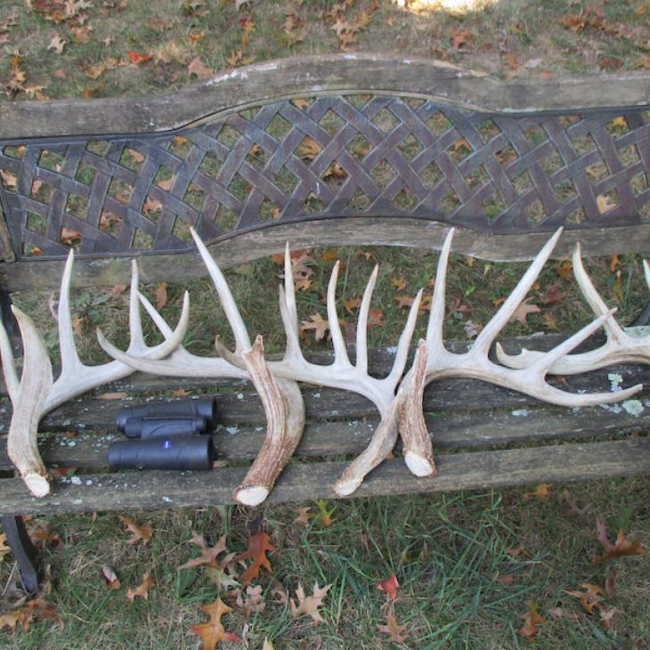 19 SHED HUNTING STRATEGIES